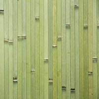 Бамбук. полотно 12мм, ЛАЙМ зеленое, ширина 0,9м