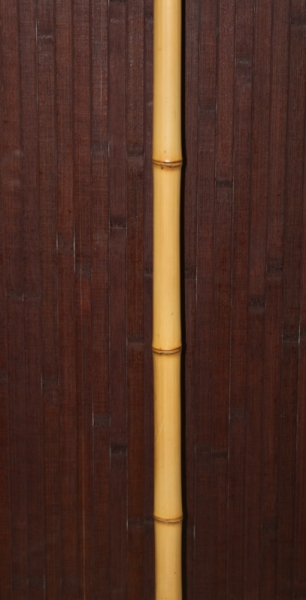 Ствол бамбук обоженный Moco, d=20-30мм, L=2,8-3м