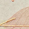 Cosca Лакшери Листья Прима Азуль, 5,5х0,91 м