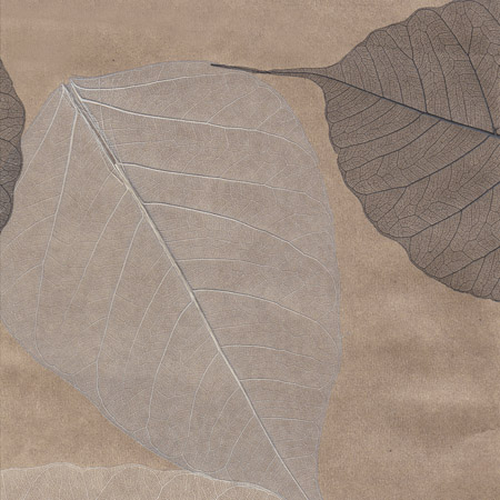 Cosca Лакшери Листья Прима Байге, 5,5х0,91 м