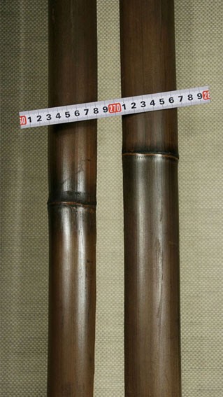 Ствол бамбука шоколадный  30-40 мм 3 м