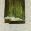 Планка кромочная D 01-07, цвет зеленый черепаховый, L=1,8м