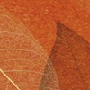 Cosca Лакшери Листья Прима Рохо, 10х0,91 м